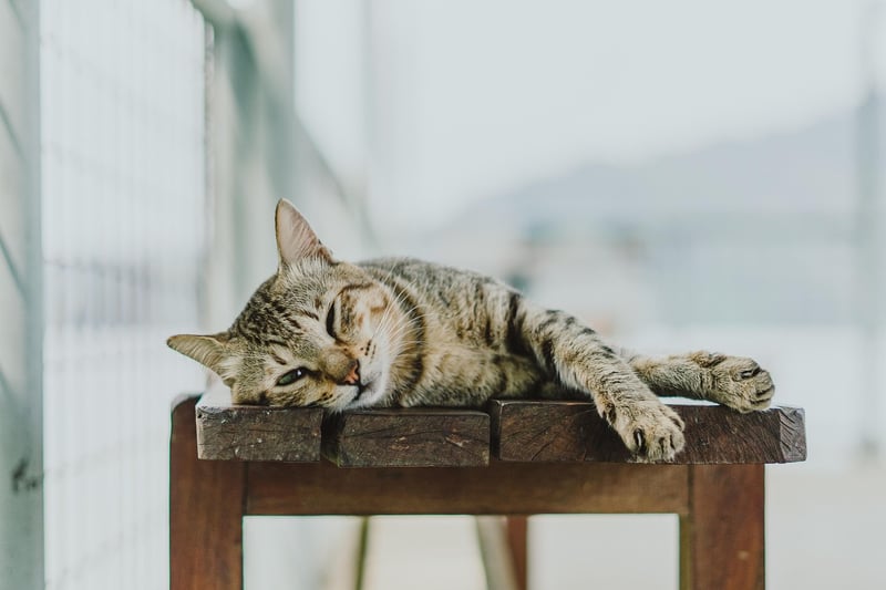Relaxing